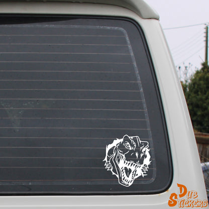 T Rex Head Decal Vinyl Waterpoof Sticker Campervan Laptop Window